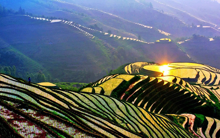 8_China’s Most Beautiful Rice Terraces