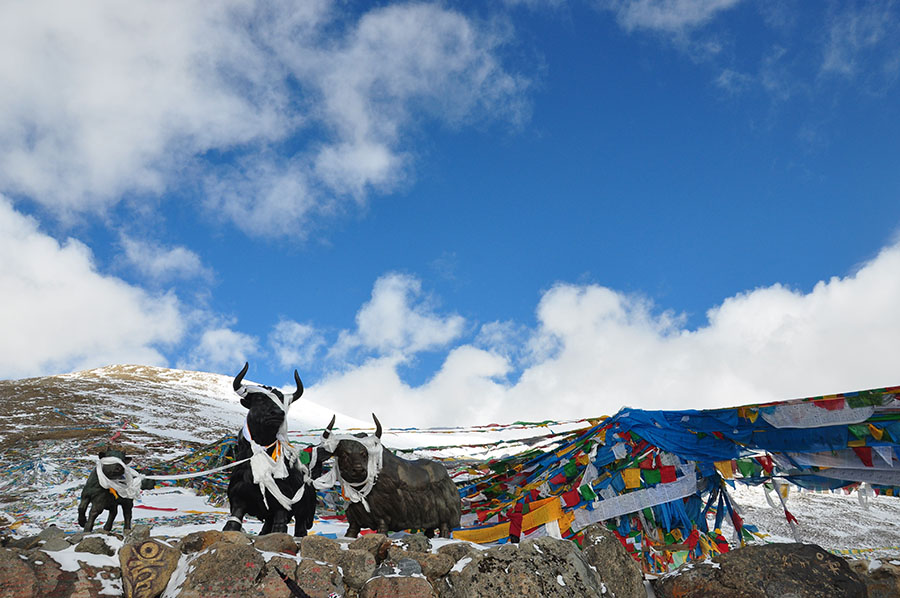 18_Free Tickets For Travelers in Tibet